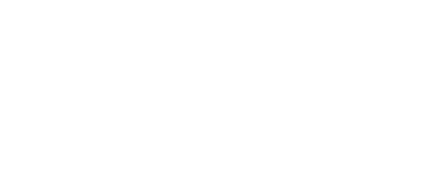 BBS transparent logo.png